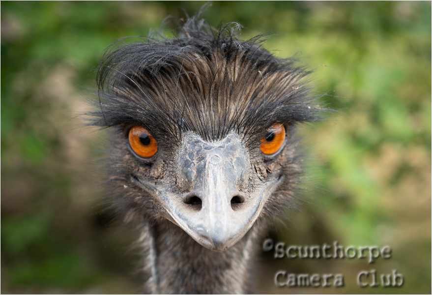 What are you looking at